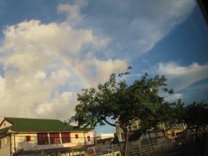 2013 10 29 Hawaii Dole Plantation (22)