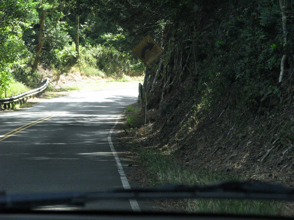 2013 11 03 Hawaii Pride of America Day 02 Kahului, Maui Road to Hana Garden of Eden (64)